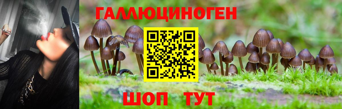 купить   Галлюциногенные грибы мухоморы  Вход с VPN  Строитель 