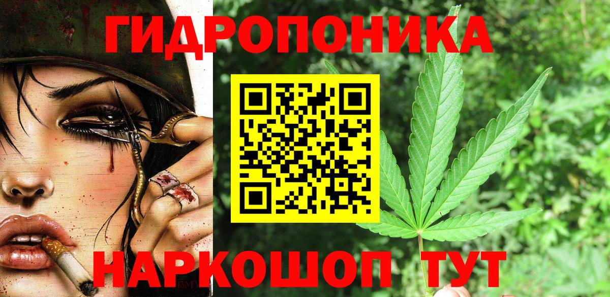 Шишки марихуана сатива Строитель